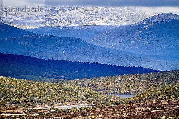 Gebirgslandschaft  Fluss  Dovrefjell-Sunndalsfjella-Nationalpark  Norwegen  Europa