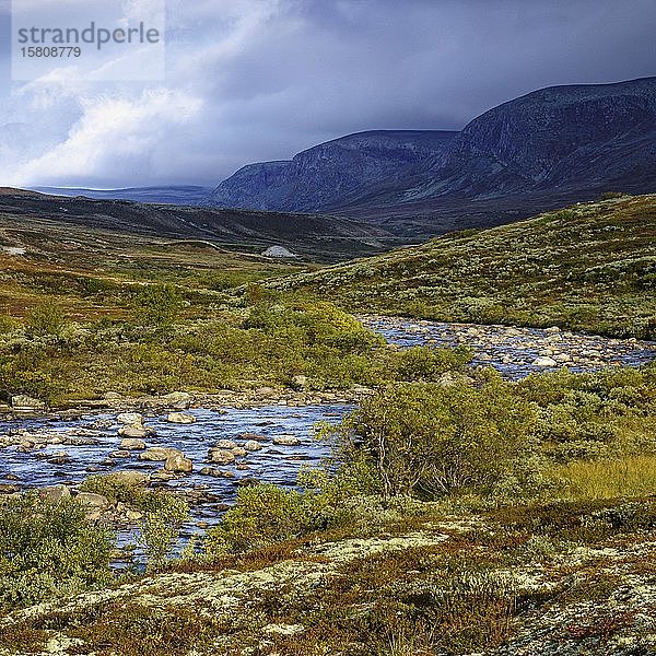 Gebirgslandschaft  Fluss  Dovrefjell-Sunndalsfjella-Nationalpark  Norwegen  Europa