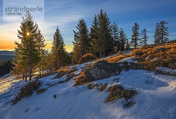 Schneebedeckte Alm bei Sonnenaufgang mit Wald  Sonnenstern  Sommeralm  Alpenland  Steiermark  Österreich  Europa