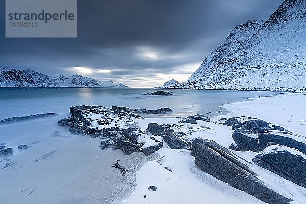 Felsenküste in der blauen Stunde  Vareid  Lofoten  Norwegen  Europa