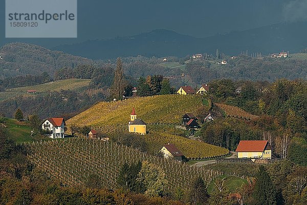 Kapelle mit Weinberg im Herbst  Südsteirische Weinstraße  Steiermark  Österreich  Europa