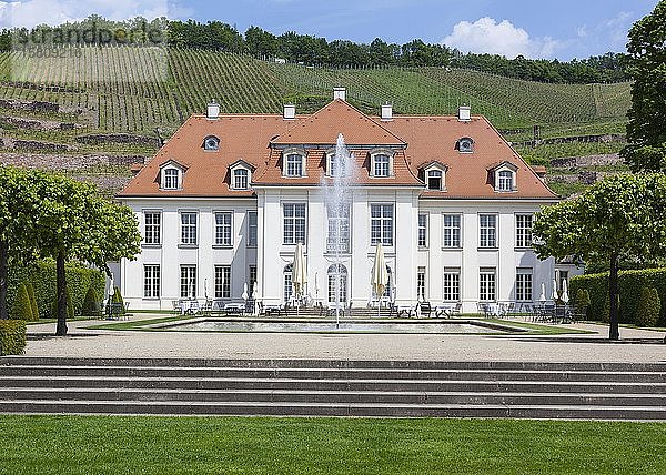 Schloss Wackerbarth  Radebeul  Sachsen  Deutschland  Europa