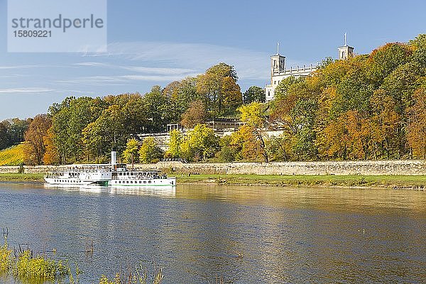 Schloss Albrechtsberg mit Elbdampfer auf der Elbe  Herbst  Sachsen  Deutschland  Europa