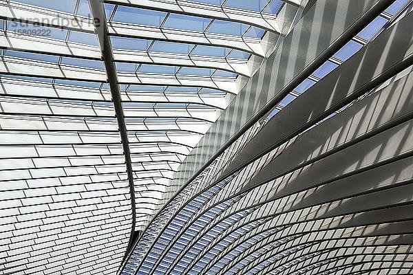 Detail des Daches des Bahnhofs Lüttich  Gare de Liège-Guillemins  entworfen von dem spanischen Architekten Santiago Calatrava  Lüttich  Wallonische Region  Belgien  Europa