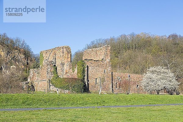 Ruinen des Klosters Heilig Kreuz  Meißen  Sachsen  Deutschland  Europa