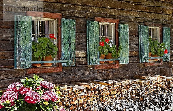 Altes Bauernhaus mit Blumenfenstern mit Geranien  Lohnergut  Salzburger Freilichtmuseum  Großgmain  Flachgau  Bundesland Salzburg  Österreich  Europa