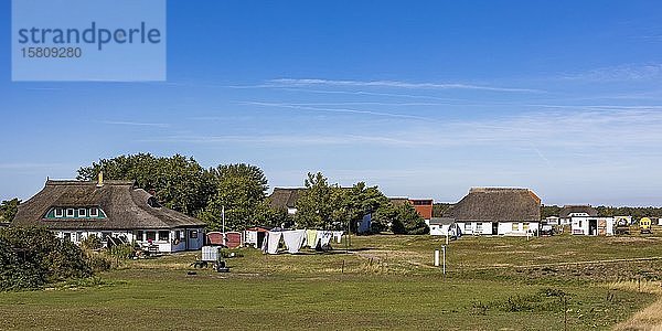 Wohnhäuser  mit Restdächern  Neuendorf  Fischerdorf  Insel Hiddensee  Mecklenburg-Vorpommern  Deutschland  Europa