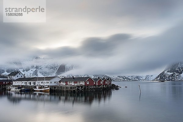 Rote Häuser im Fjord  Hamnoy  Lofoten  Norwegen  Europa