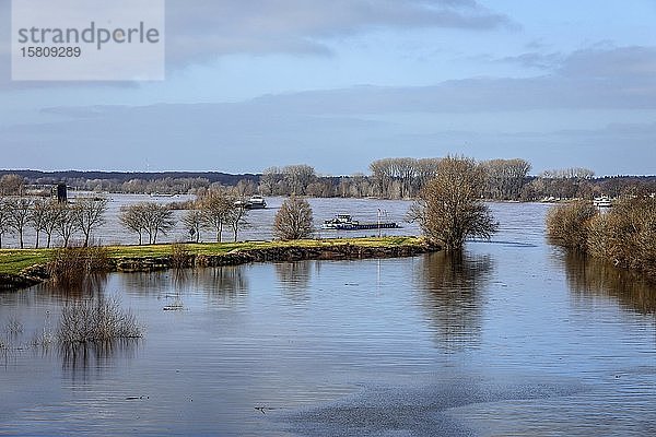 Lippe  Überschwemmung in der renaturierten Aue an der Mündung der Lippe in den Rhein  Wesel  Niederrhein  Nordrhein-Westfalen  Deutschland  Europa