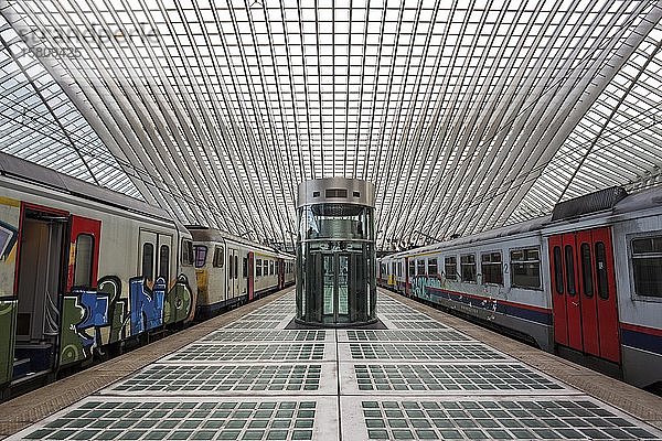 Bahnhof Lüttich  Gare de Liège-Guillemins  entworfen von dem spanischen Architekten Santiago Calatrava  Lüttich  Wallonische Region  Belgien  Europa