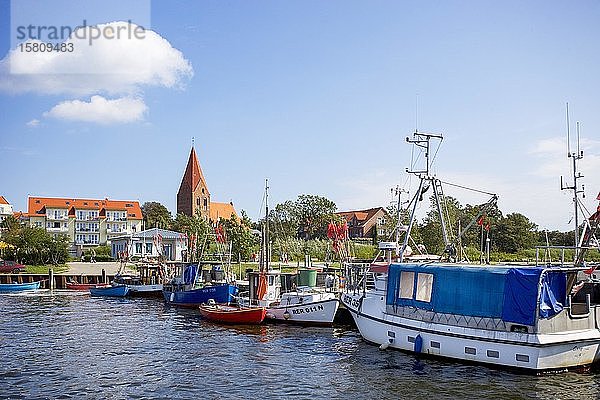 Fischerboote im Fischereihafen  Ostseebad Rerik  Mecklenburg Vorpommern  Deutschland  Europa