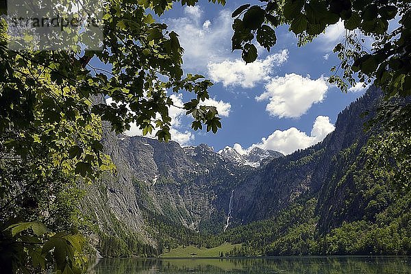 Obersee mit Blick auf die Fischunkelalm und die Röthbachfälle  Nationalpark Berchtesgaden  Bayern  Deutschland  Europa