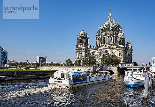 Ausflugsschiff auf der Spree  Berliner Dom  Berlin  Deutschland  Europa