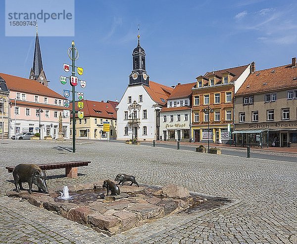 Marktplatz mit Wilde-Sau-Brunnen  Rathaus und Nikolaikirche  Wilsdruff  Sachsen  Deutschland  Europa