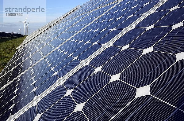 Erneuerbare Energien: Fotovoltaikanlage  Solarkraftwerk und Windpark im Hintergrund  Schleswig-Holstein  Deutschland  Europa