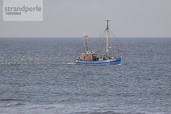 Krabbenkutter auf Fangfahrt vor Norderney  Nordsee  Ostfriesische Inseln  Niedersachsen  Deutschland  Europa