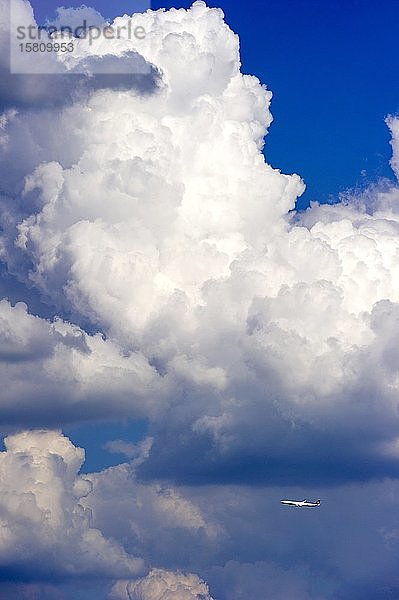 Gewitterwolken  Cumulonimbus  Lufthansa Passagierflugzeug über dem Flughafen München  Freising  Oberbayern  Bayern  Deutschland  Europa