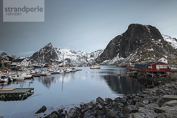 Hafenbecken in Hamnoy  Lofoten  Norwegen  Europa
