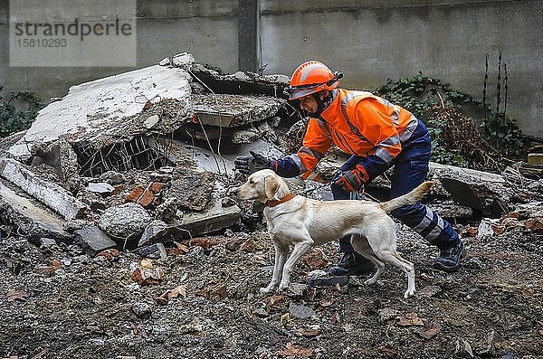 Rettungshundeausbildung  in Trümmern eingestürzter Gebäude üben die Spürhunde die Suche nach Verschütteten  Herne  Nordrhein-Westfalen  Deutschland  Europa