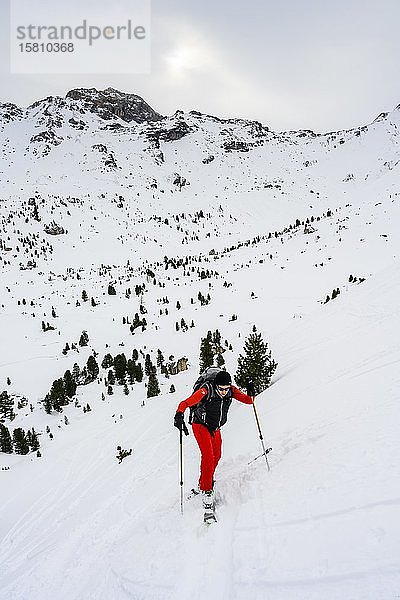 Haarnadelkurve  Skitourengeher in verschneiter Berglandschaft beim Aufstieg  Wattentaler Lizum  Tuxer Alpen  Tirol  Österreich  Europa