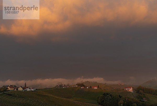 Sonnenaufgang mit Weinberg und Morgennebel  Südsteirische Weinstraße  Steiermark  Österreich  Europa