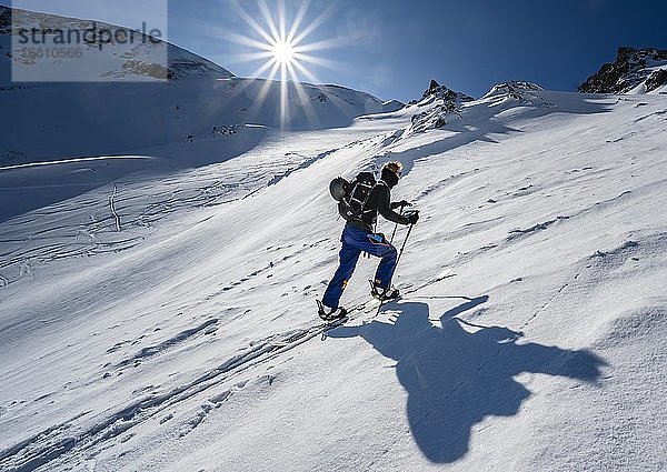 Skitourengeher im steilen Gelände  Aufstieg zur Geierspitze  Wattentaler Lizum  Tuxer Alpen  Tirol  Österreich  Europa