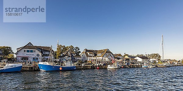 Fischerboote im Hafen  Fischerhafen  Vitte  Insel Hiddensee  Mecklenburg-Vorpommern  Deutschland  Europa