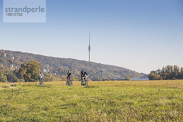 Radfahrer auf dem Elberadweg in der Nähe des Blauen Wunders  im Hintergrund der Fernsehturm  Dresden  Sachsen  Deutschland  Europa