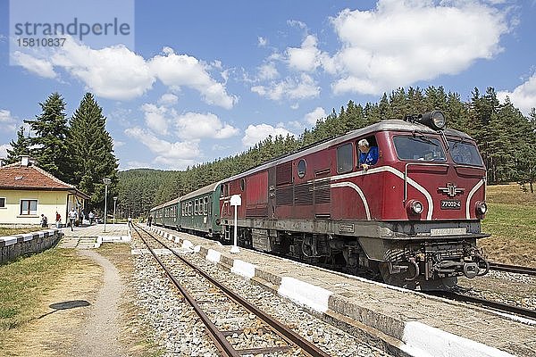 Schmalspurbahn oder Rhodopenbahn im Bahnhof Avramovo  Provinz Pazaardjik  Bulgarien  Europa