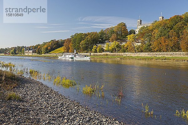 Herbst am Elbufer  Raddampfer auf der Elbe  im Hintergrund das Alte Wasserwerk und Schloss Albrechtsberg  Dresden  Sachsen  Deutschland  Europa