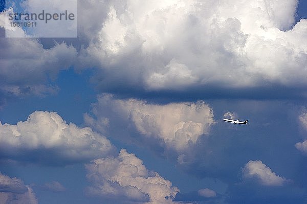 Gewitterwolken  Cumulonimbus  Lufthansa Passagierflugzeug über dem Flughafen München  Freising  Oberbayern  Bayern  Deutschland  Europa