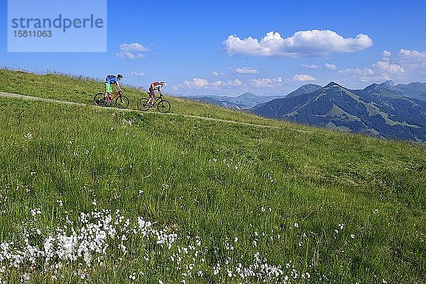 Mountainbiker auf der Südseite der Hohen Salve  Hopfgarten  Kitzbüheler Alpen  Tirol  Österreich  Europa