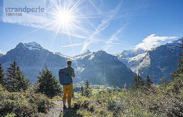 Wanderer auf dem Wanderweg zum Bachalpsee  hinter schneebedecktem Schreckhorn und Wetterhorn  Grindelwald  Bern  Schweiz  Europa