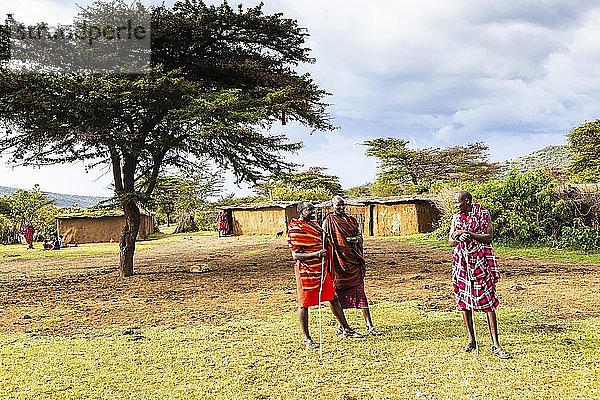 Maasai-Männer  Masai Mara Nationalpark  Kenia  Afrika