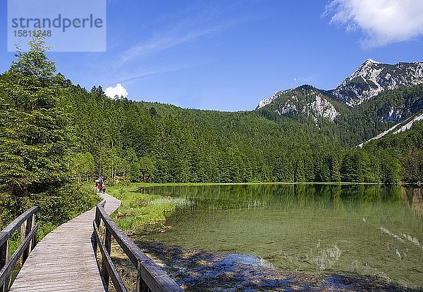 Chiemgauer Alpen  Frillensee  Inzell  Landkreis Traunstein  Bayern  Deutschland  Europa