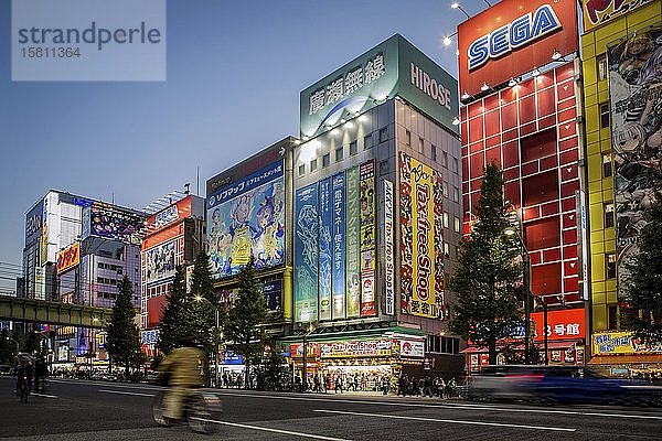 Bunte Werbung und Geschäfte auf der Elektronikmeile Akihabara  Electric Town am Abend  Tokio  Japan  Asien