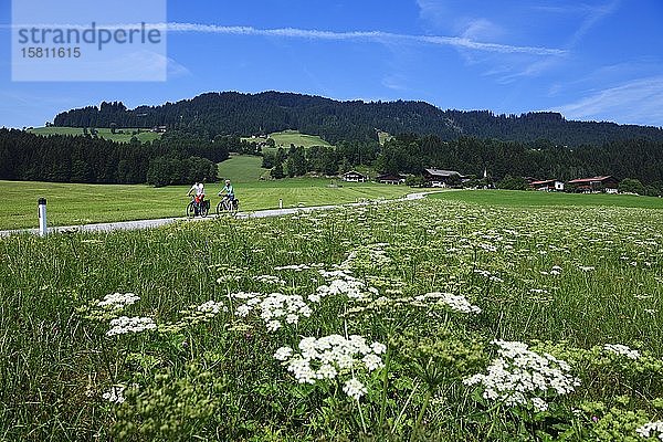 Radfahrer auf dem Penningberg  Hopfgarten  Kitzbüheler Alpen  Tirol  Österreich  Europa