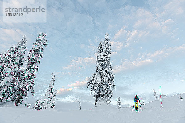 Rückansicht einer Person beim Skifahren durch eine winterliche Landschaft.