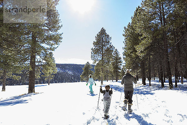 Rückansicht einer Mutter und ihrer Kinder  ein jugendliches Mädchen und ein kleiner Junge  Schneeschuhlaufen