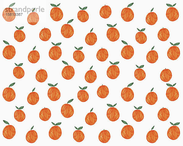 Illustration von Orangen auf weißem Hintergrund