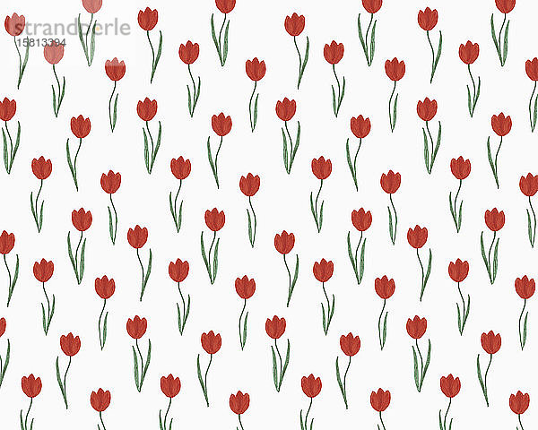 Illustration von roten Tulpen auf weißem Hintergrund
