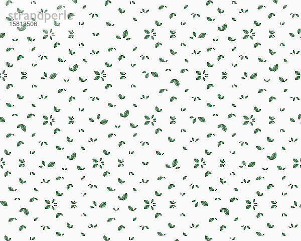 Muster aus grünen Blättern auf weißem Hintergrund