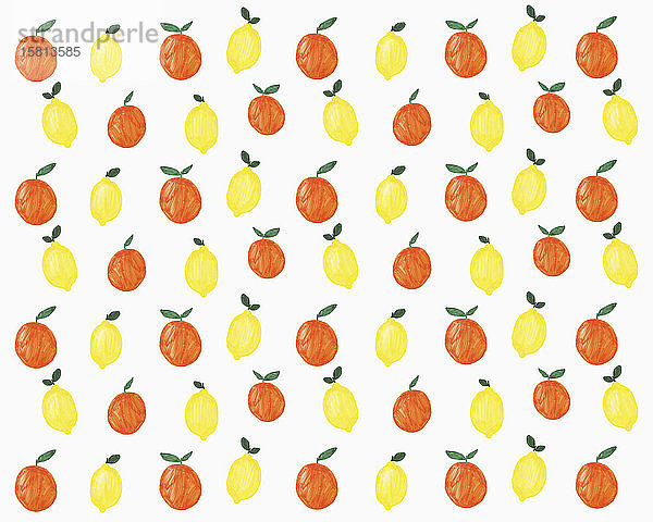Illustration von Zitronen und Orangen auf weißem Hintergrund