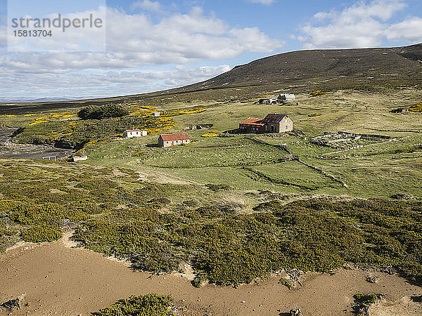 Blick auf die 1992 aufgegebene Schafsiedlung auf Keppel Island  Falklandinseln  Südamerika
