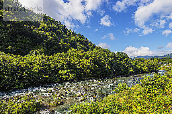 Daiya-Fluss  Nikko  UNESCO-Welterbestätte  Präfektur Tochigi  Honshu  Japan  Asien