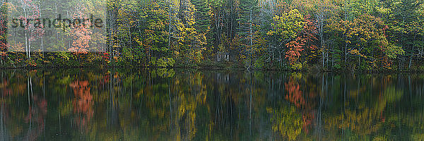 Herbstlaub spiegelt sich im See  Maine  Neuengland  Vereinigte Staaten von Amerika  Nordamerika