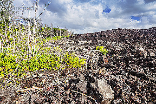 Lavastrom  Big Island  Hawaii  Vereinigte Staaten von Amerika  Nordamerika