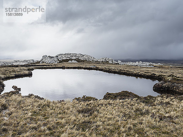 Blick auf einen Schmelzwasserteich auf dem Berg Tumbledown  Falklandinseln  Südamerika