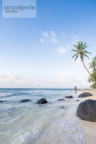 Ein Einheimischer trägt Kokosnüsse am Nordstrand  Little Corn Island  Islas del Maiz (Maisinseln)  Nicaragua  Mittelamerika