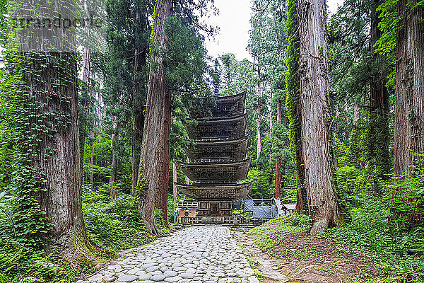 Fünfstöckige Pagode  Dewa sanzan Hagurosan-Tempel  Präfektur Yamagata  Honshu  Japan  Asien